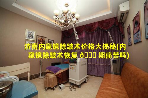 济南内窥镜除皱术价格大揭秘(内窥镜除皱术恢复 🐝 期痛苦吗)